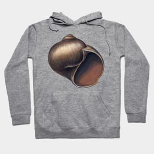 Northern Moon Snail Hoodie